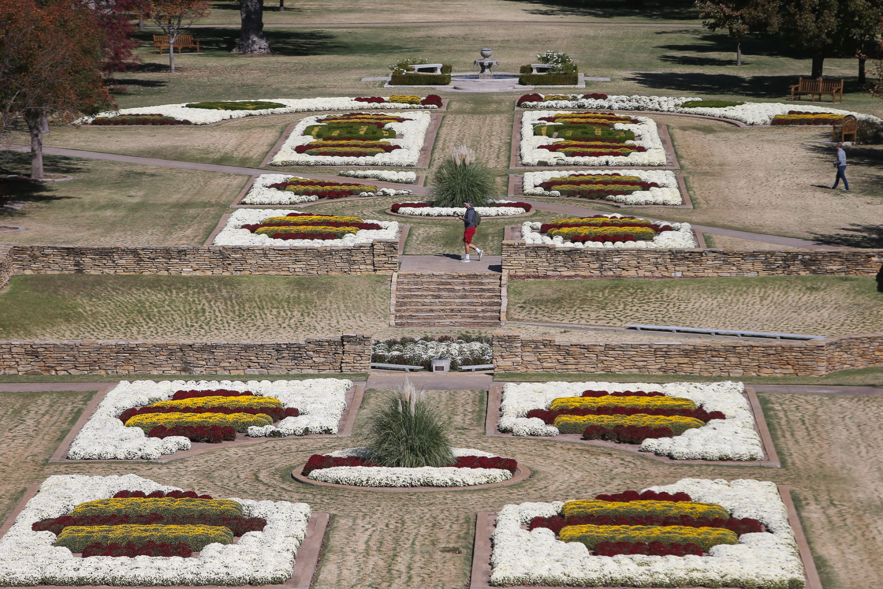 South Oval Mums